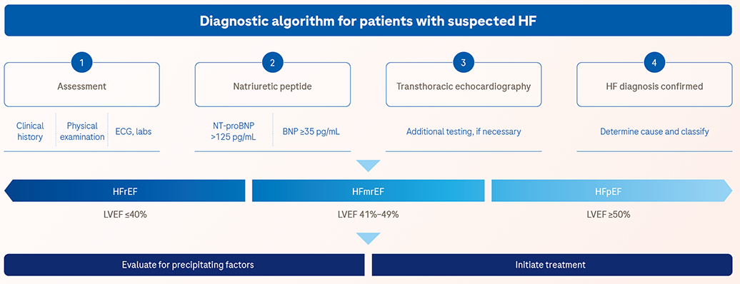 Heart failure diagnostic algorithm