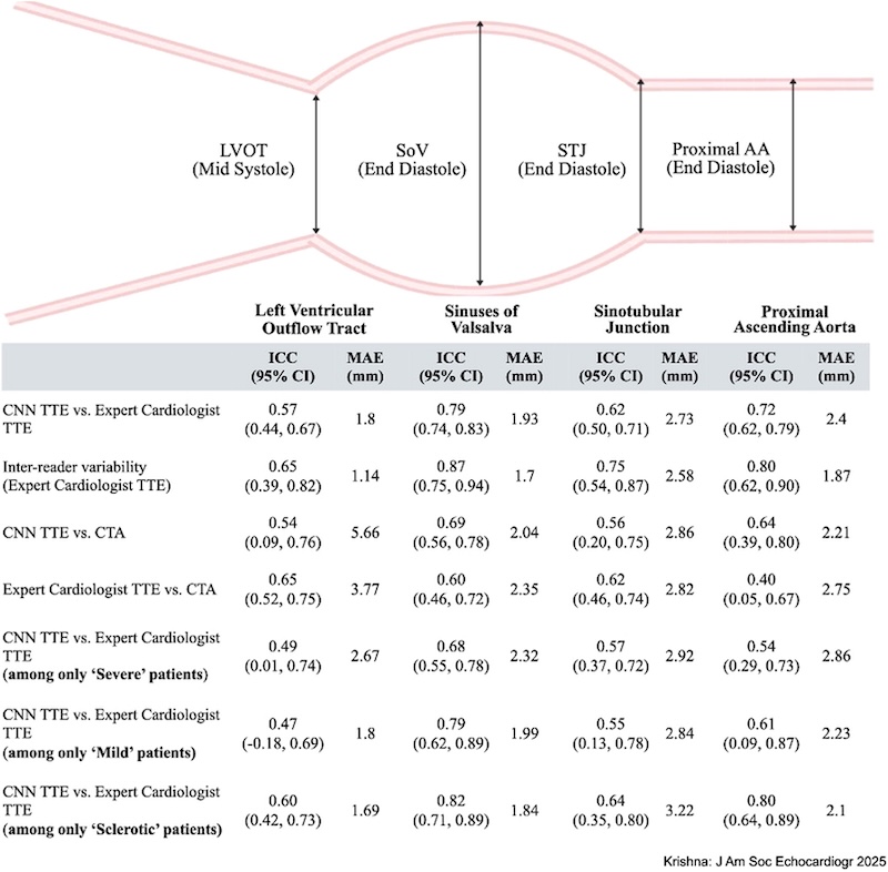 Machine Learning Technology To Automate Thoracic Aorta Dimensions By Echocardiography