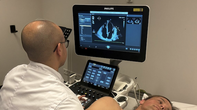 AI Echo in the Netherlands